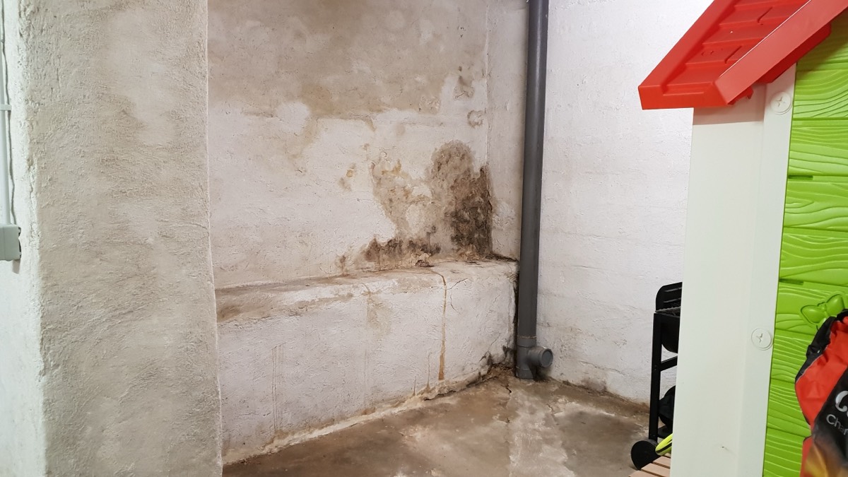 Infiltrations d'eau - Expertise humidité à Dax